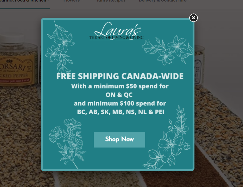 picture of the popup in lauras site